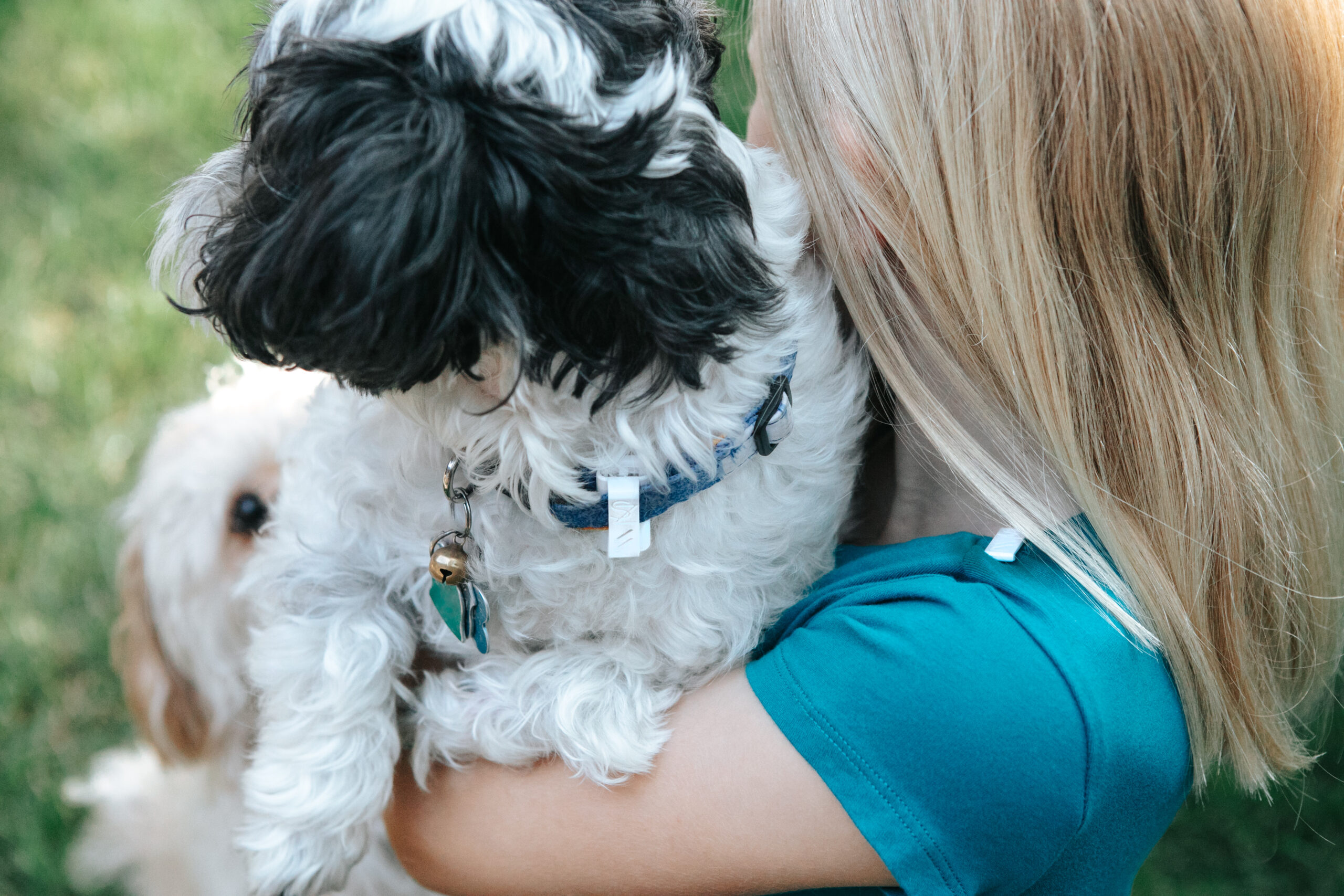 How Citronella Oil is Effective at Keeping Mosquitos Away Scentral Zone