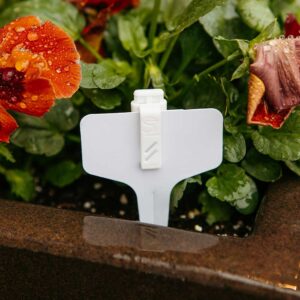 Scentral Zone's Plant Protect waterless essential oil diffuser clipped onto stake in garden bed