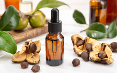 Why Camellia Seed Oil Is Good for Hair and Skin