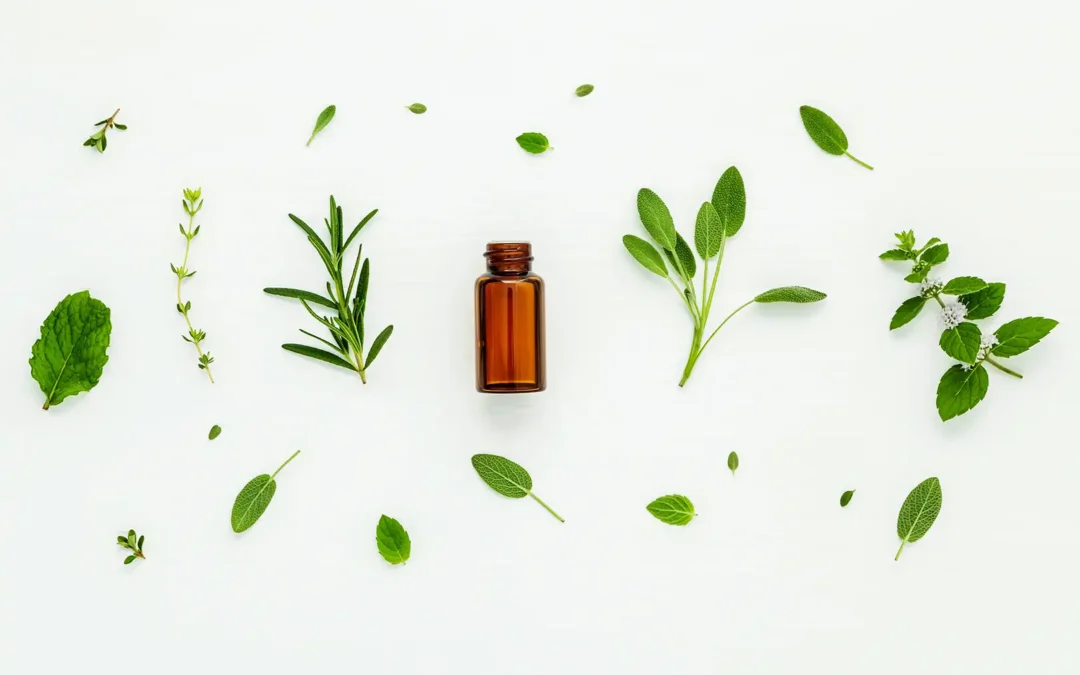 Inside Our Ingredient Sourcing: Natural, Clean, and Upcycled